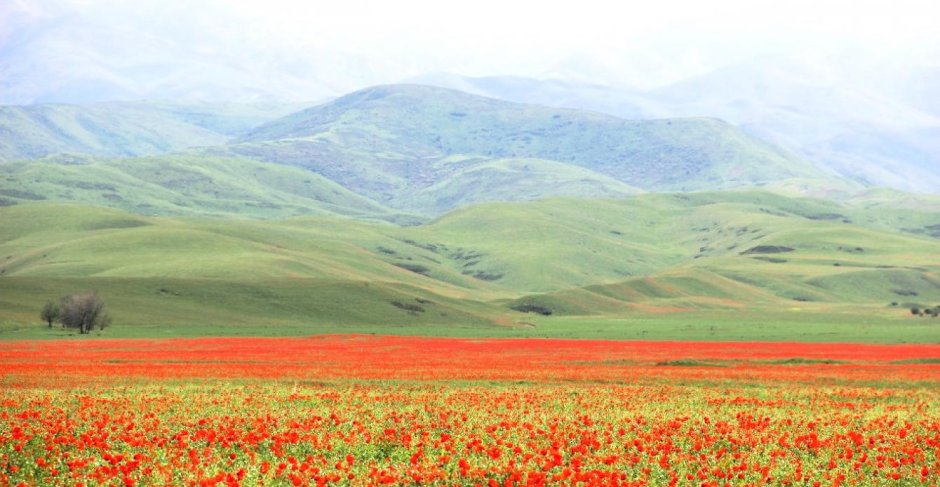Пейзаж Таджикистана лолазор