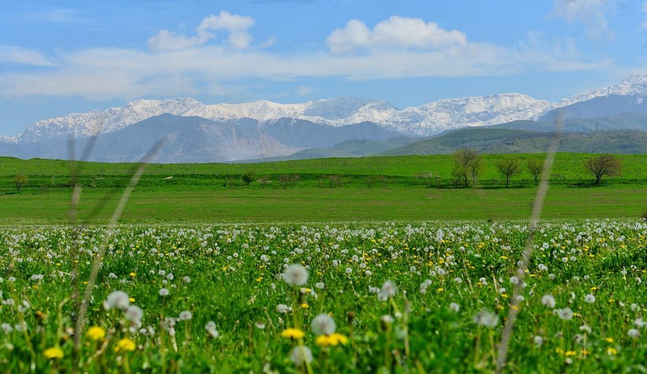 Весна в Ферганской долине Узбекистан