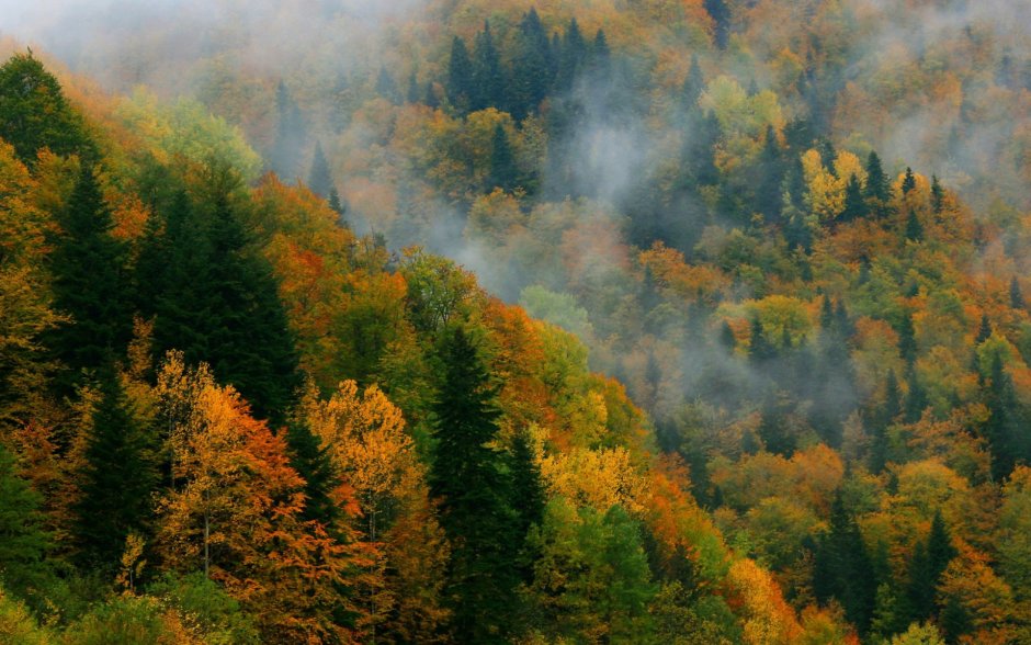 Талышские горы осенью Азербайджан