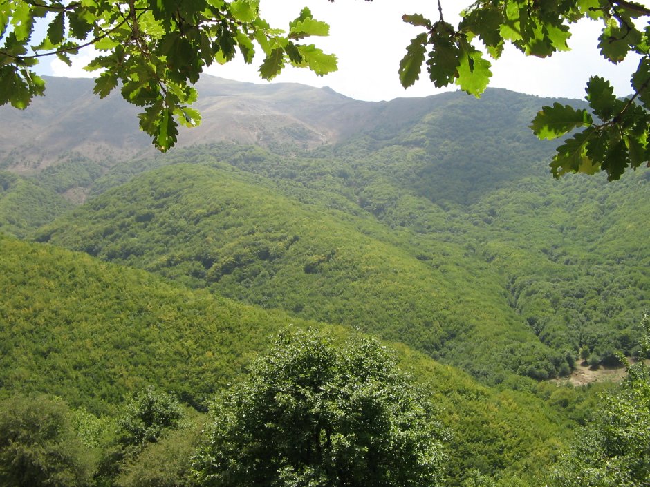 Арасбаранский лес, Восточный Азербайджан