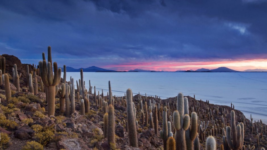Остров Пескадо в Боливии