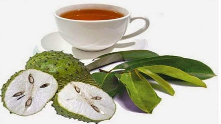 Сирсак и зеленый чай