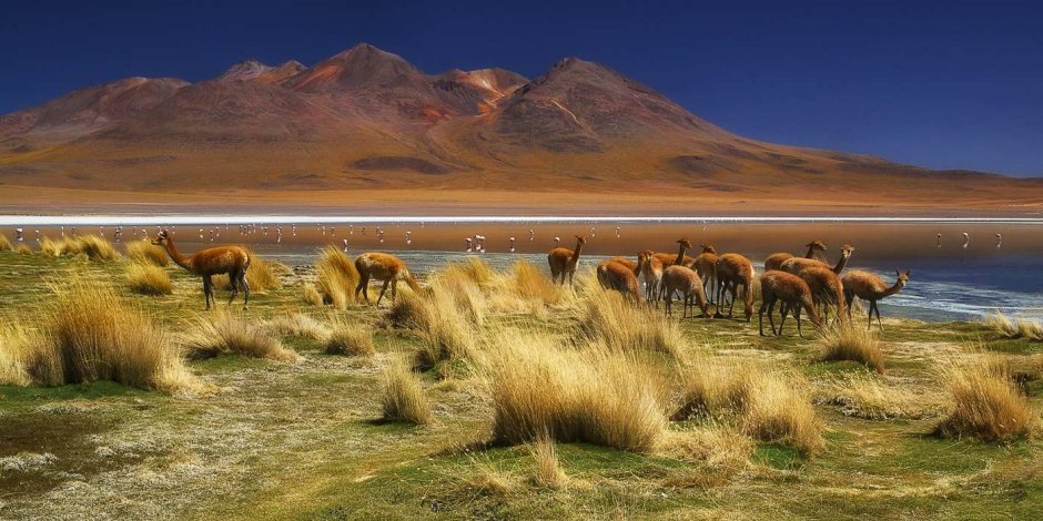 Боливия пейзажи