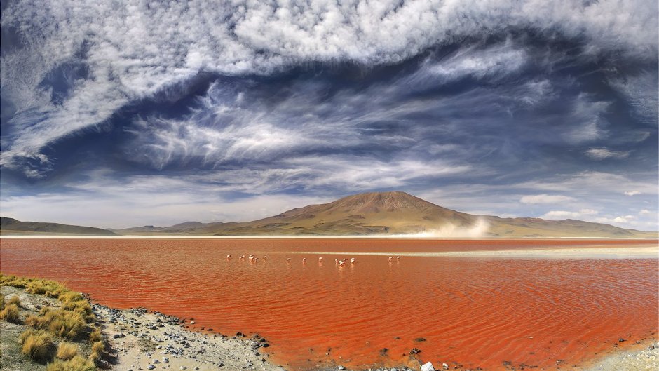 Лагуна Колорадо – бордовое озеро в Боливии