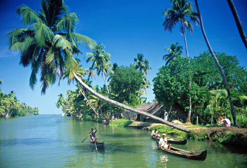 Индия тропический штат Керала