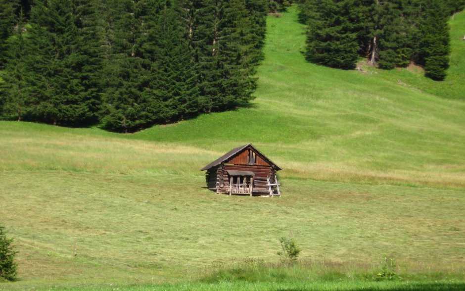 Одинокий домик в деревне