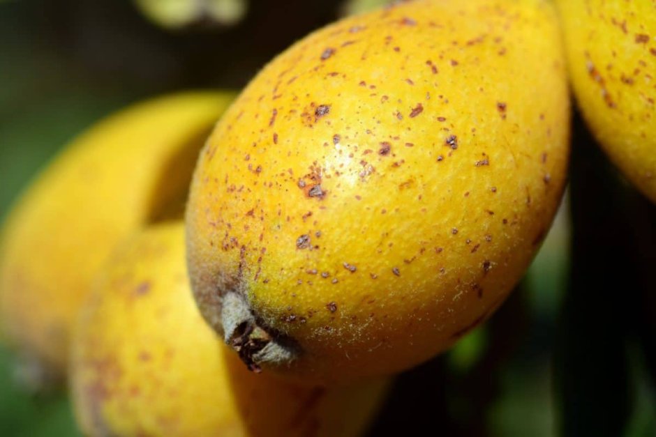 Желтый сладкий фрукт