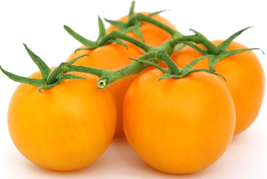 Томаты Амана оранж сорта