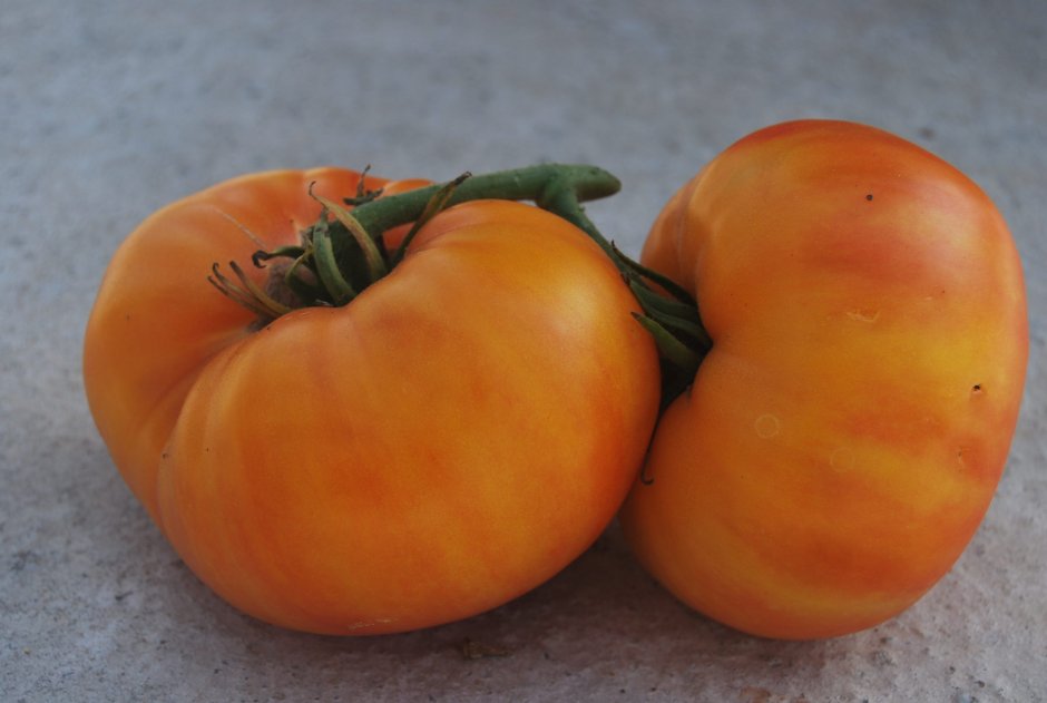 Черри оранж f1 томат