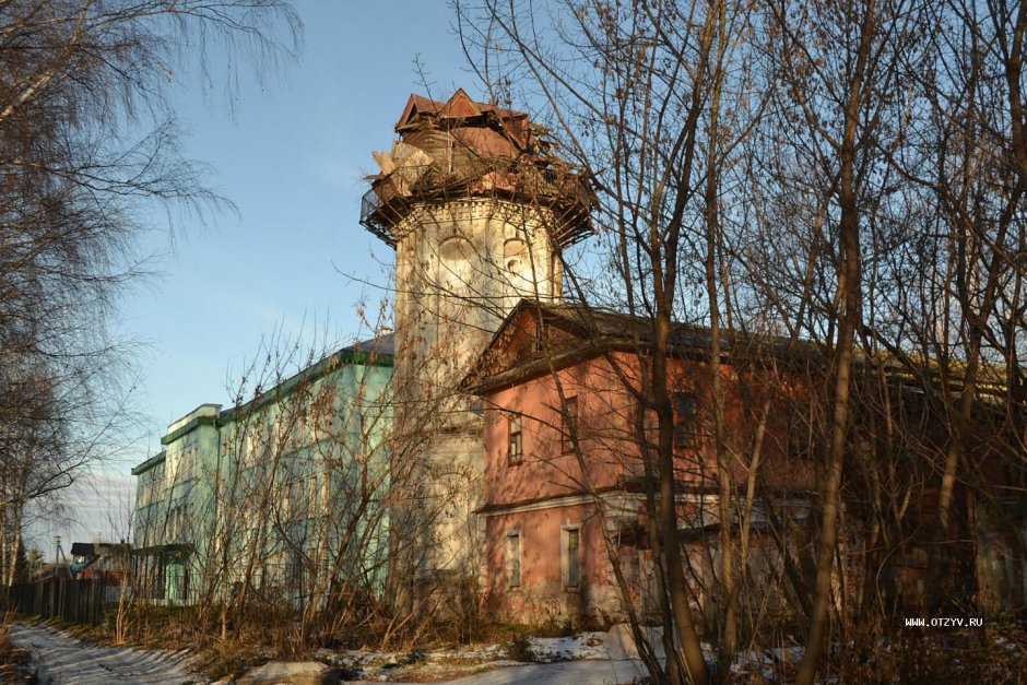 Дом Юлии Высоцкой и Андрея Кончаловского на Николиной горе фото