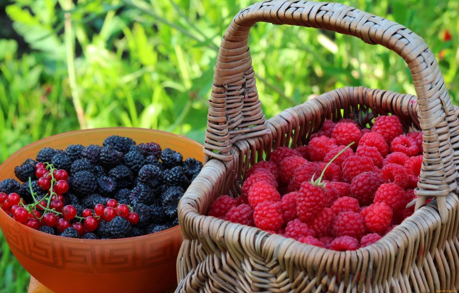 Лето фрукты ягоды