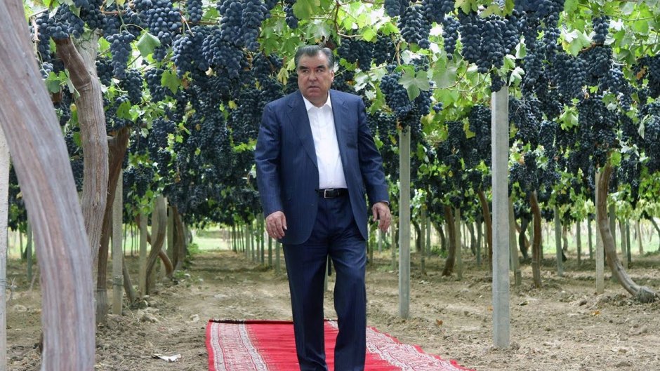 Эмомали Рахмон виноград