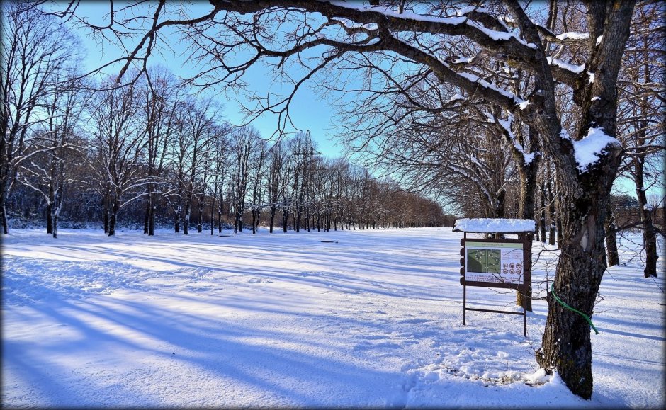 Ботанический сад Екатеринбург зима