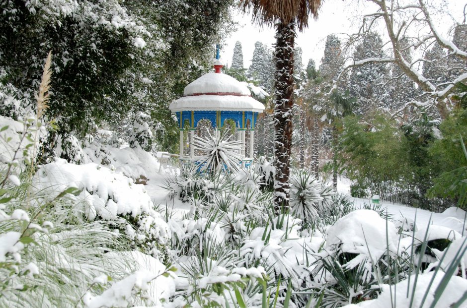 Ботанический сад зима