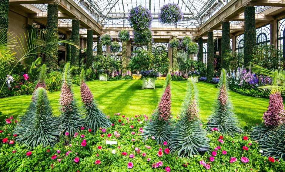 Ботанический сад Москва оранжереи цветов