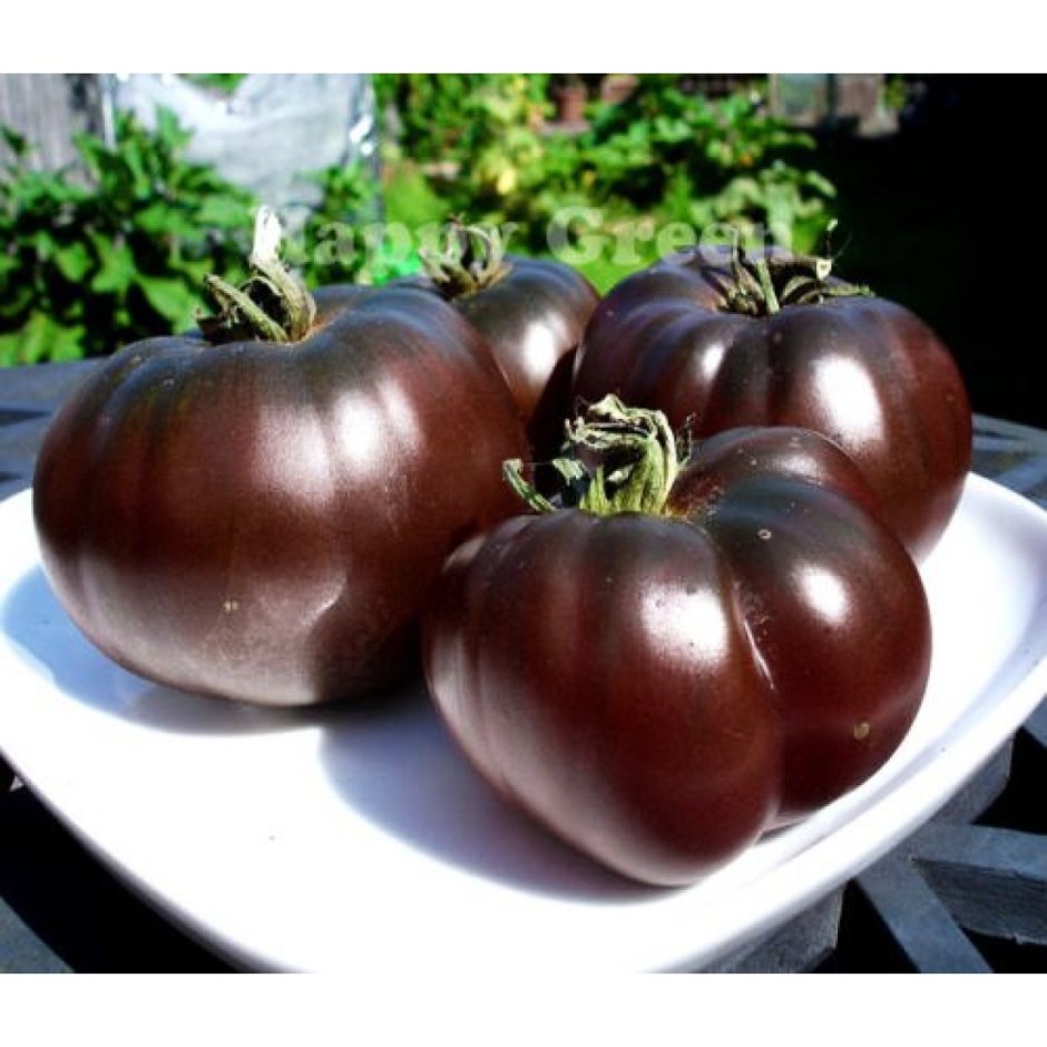 Семена томата японский трюфель черный