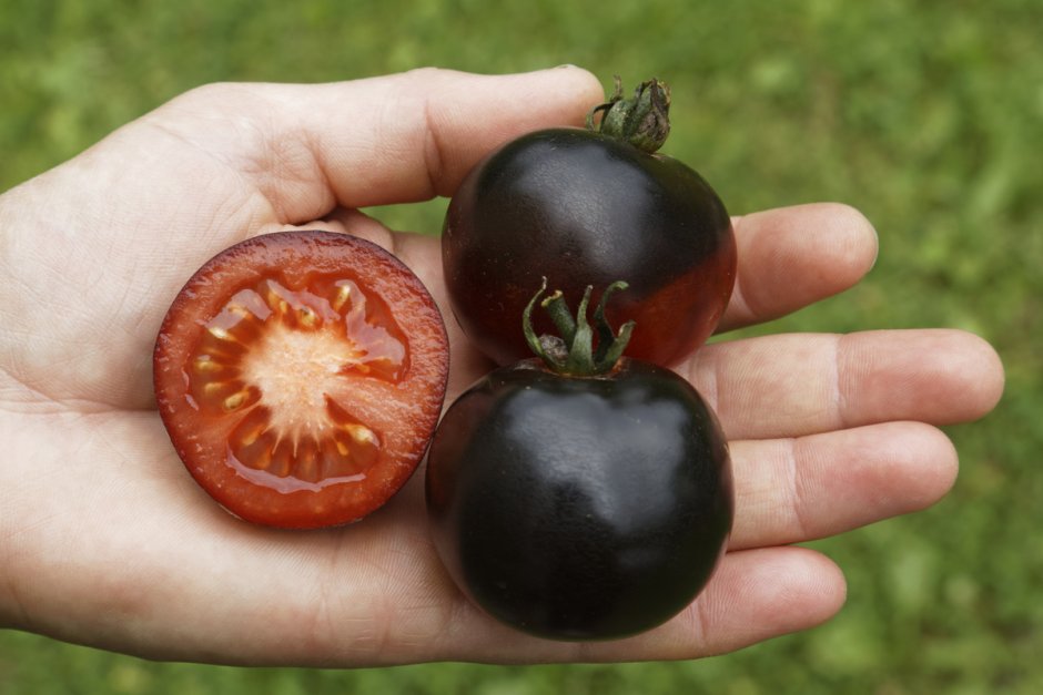 Вкусные черные помидоры