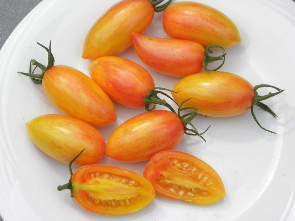 Блаш румянец томат