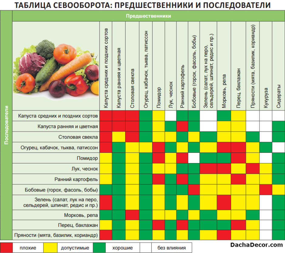 Таблица севооборота овощных культур