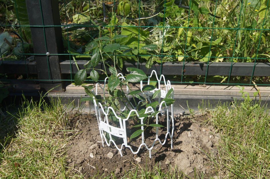 Protex / опора заборчик садовый для растений