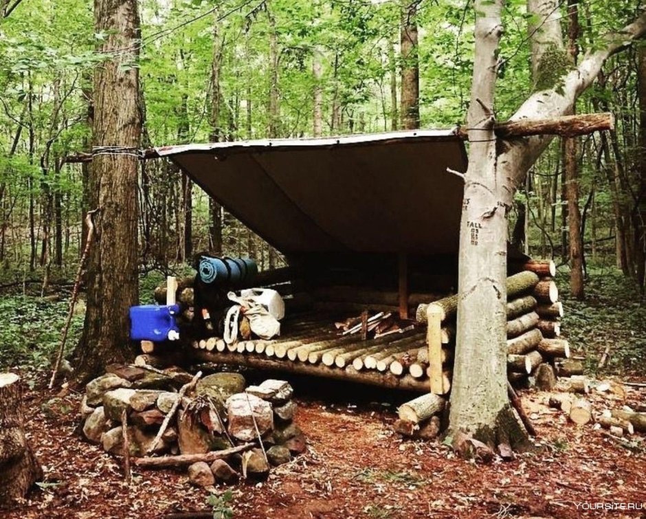 Бушкрафт лагерь в лесу