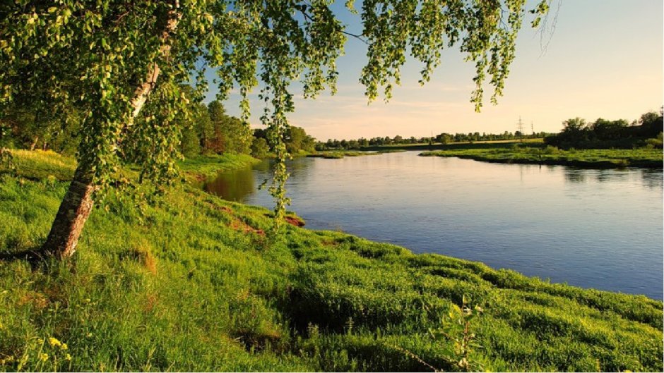 Река береза Смоленская область