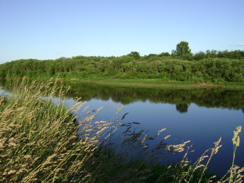Озеро чистое Тамбовской области