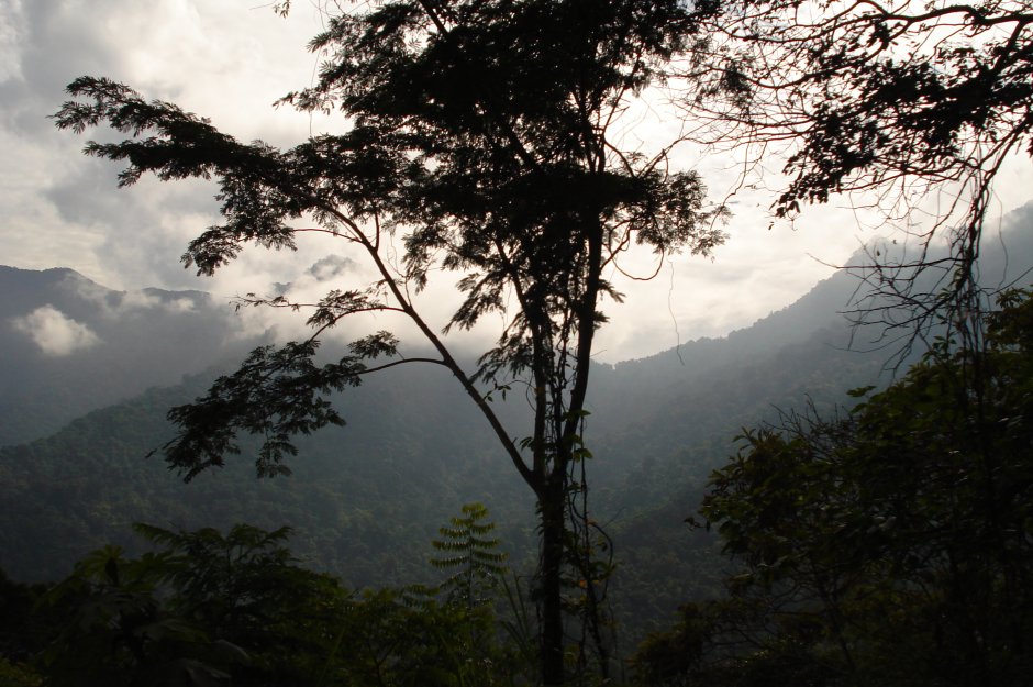 Национальный парк Нивалдито Венесуэла