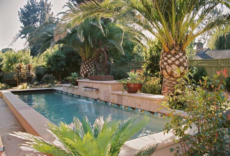 Тропический сад с бассейном