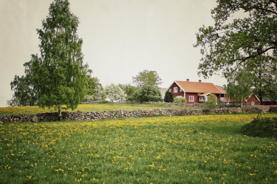 Зеленый сельский дом Швеция
