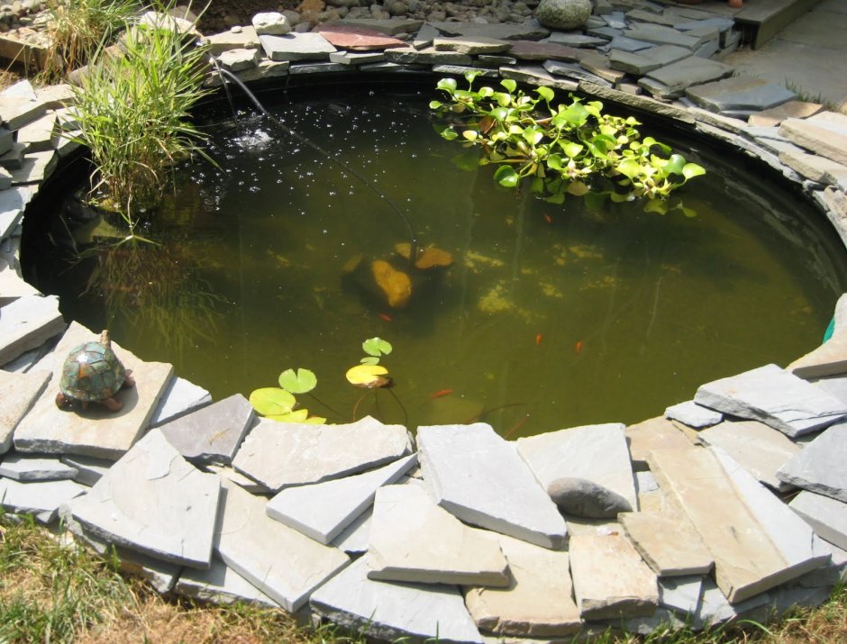 Круглый садовый пруд с рыбками