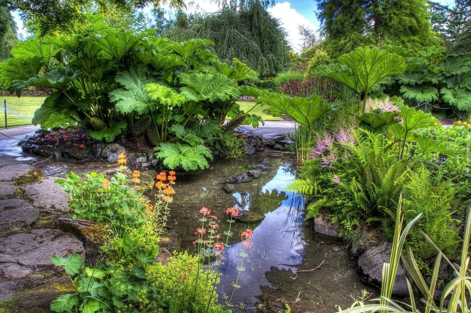 Красивый сад с болотом