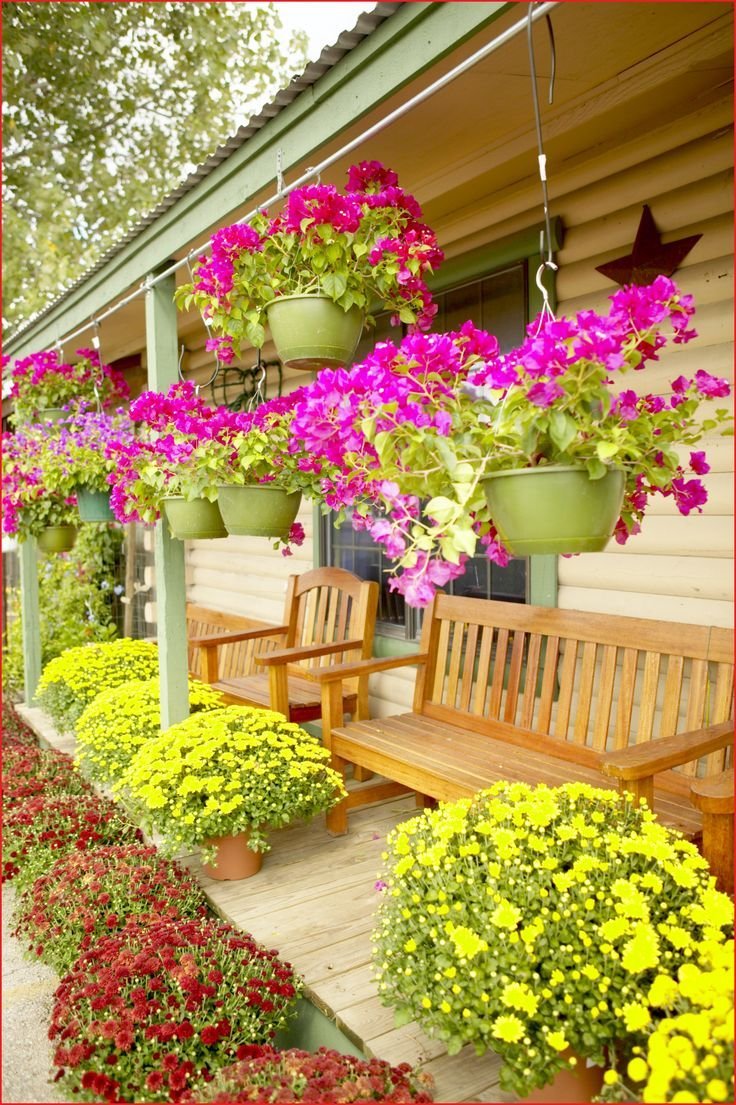 Дачный двор с цветами