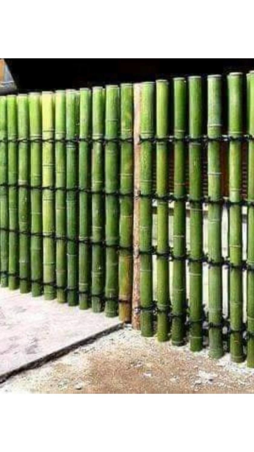 Ограждения для саженцев из бамбука