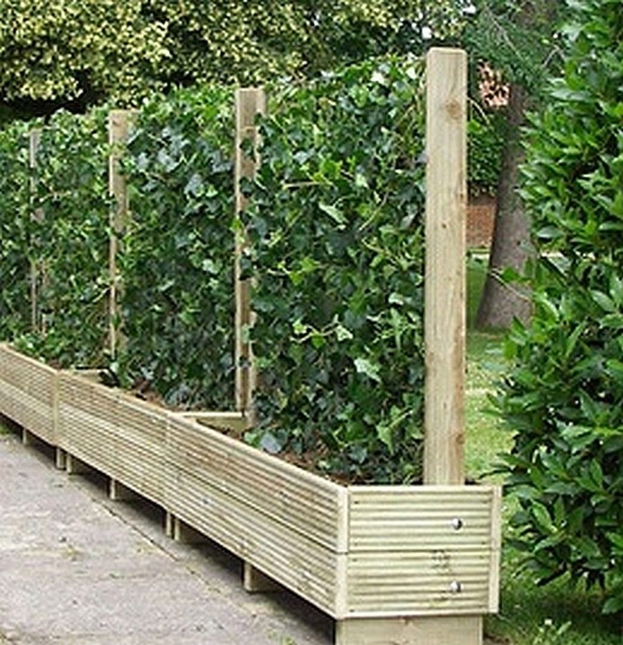 Ограда для огорода