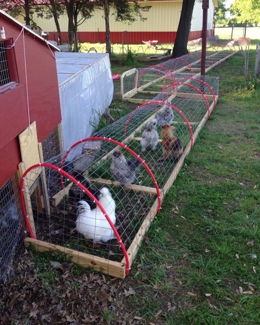 Ферму Wineville Chicken Coop