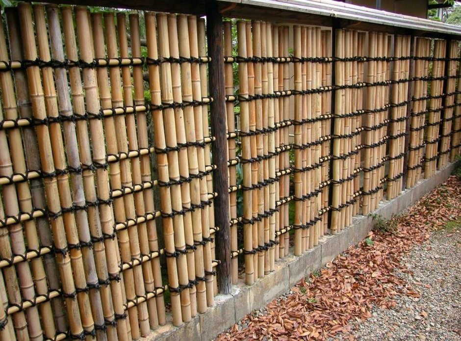 Изгородь из бамбука