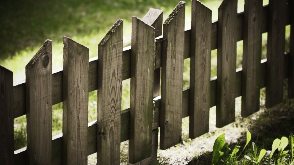 Забор штакетник деревянный