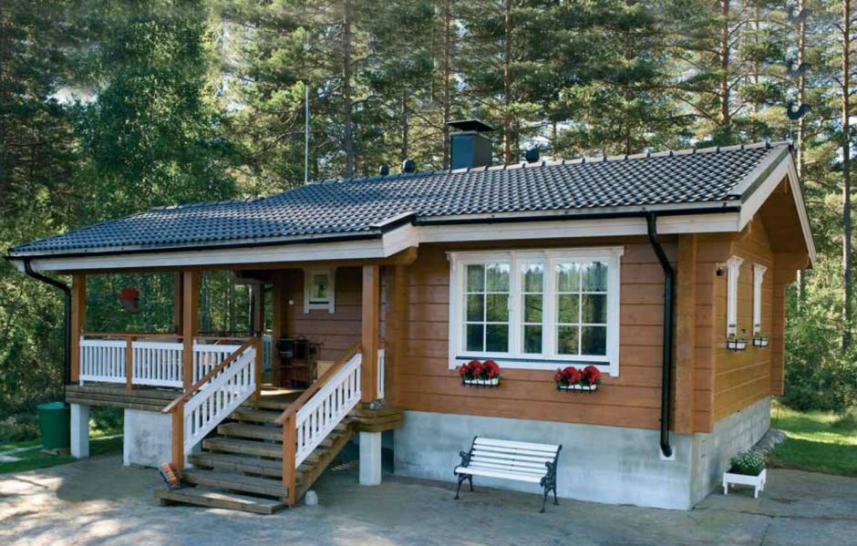 Дом с односкатной крышей Скандинавия