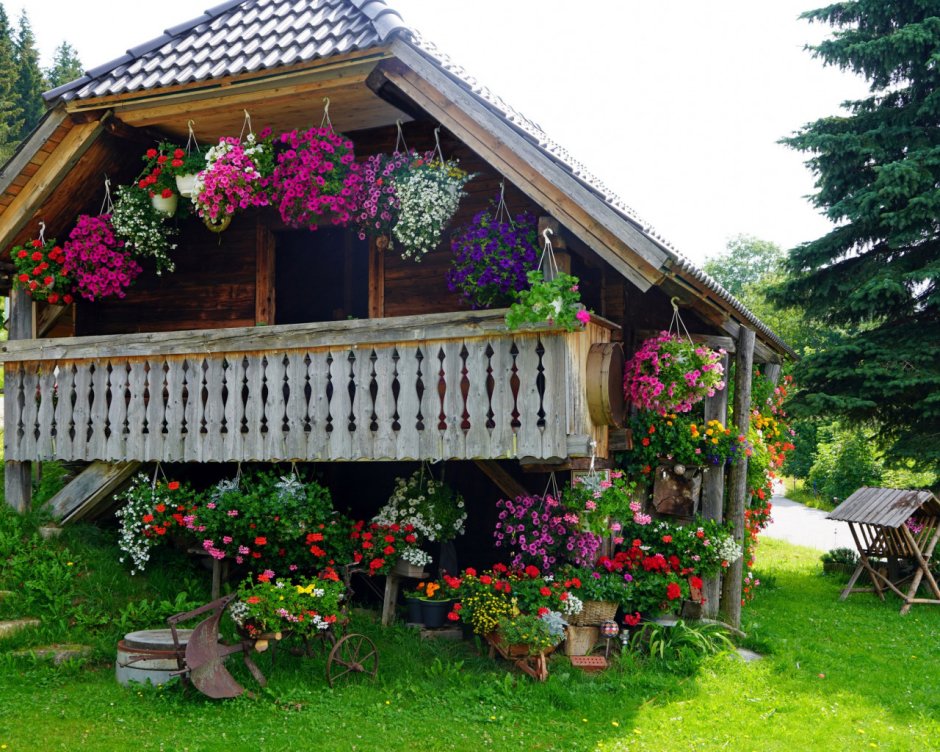 Дачный дом цветами