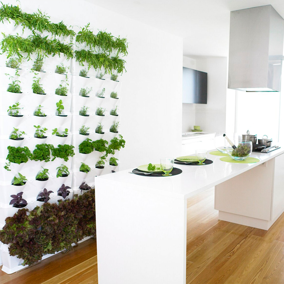 Вертикальный сад на кухне