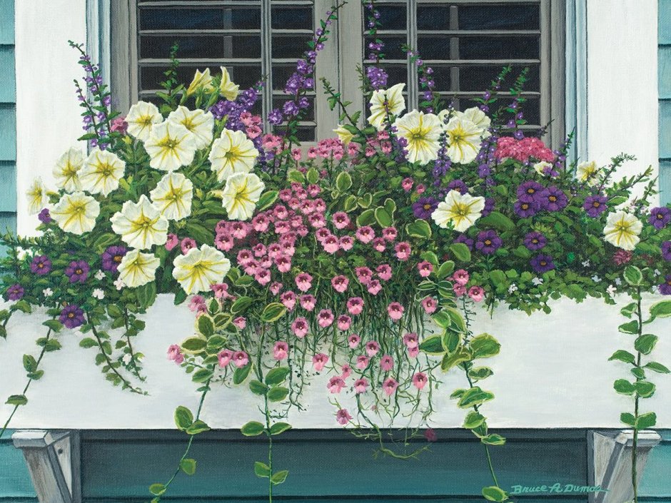 Композиции из цветов в балконных ящиках