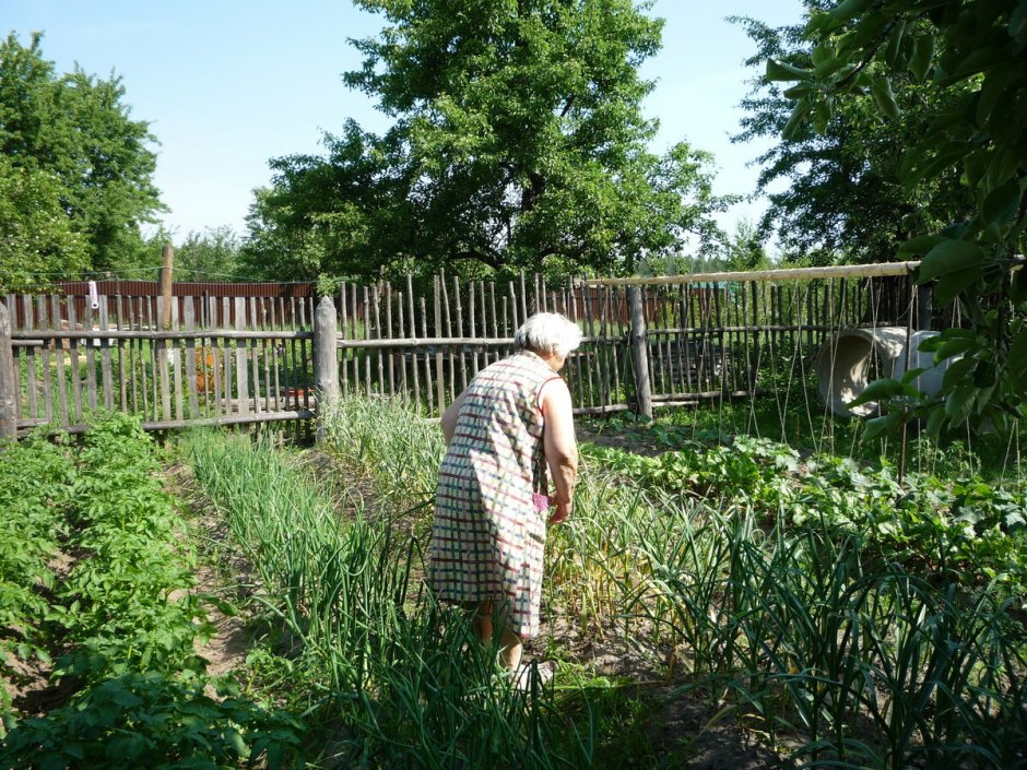 Огородик в деревне