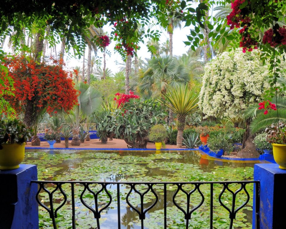 Jardin Majorelle, Марокко