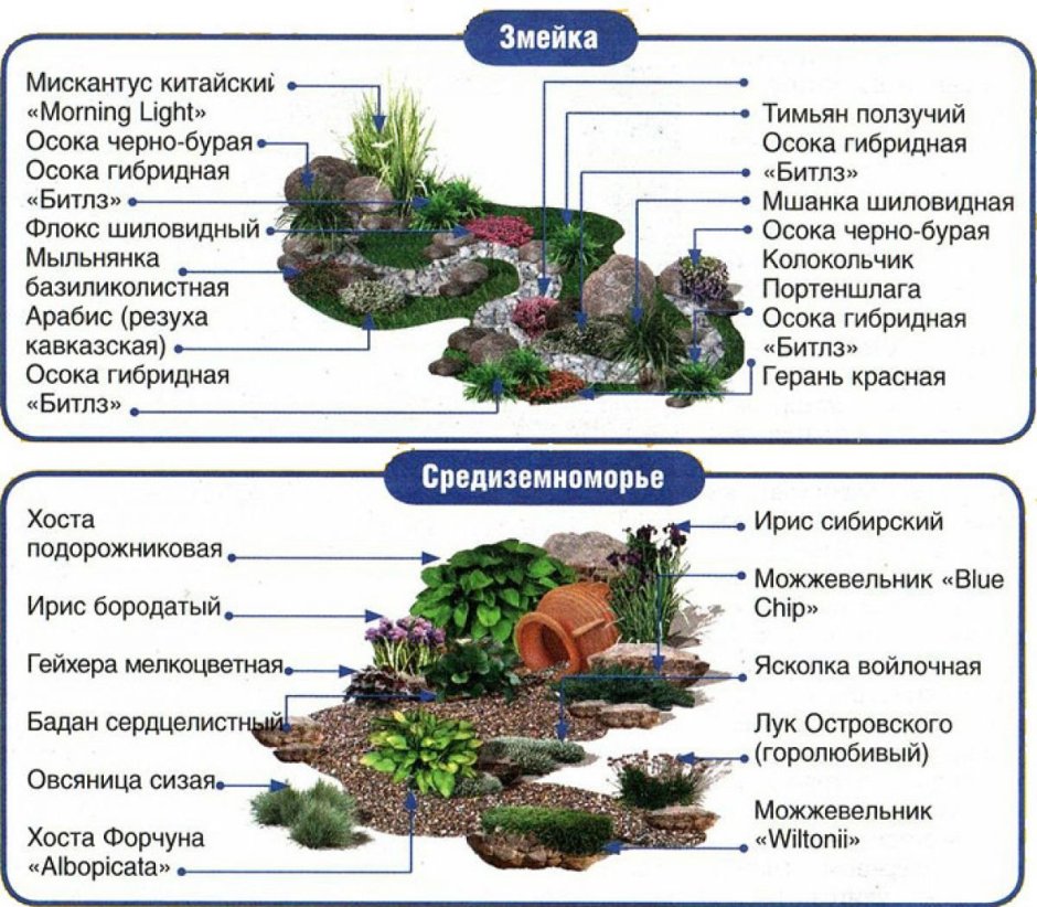 Рокарий схема посадки растений
