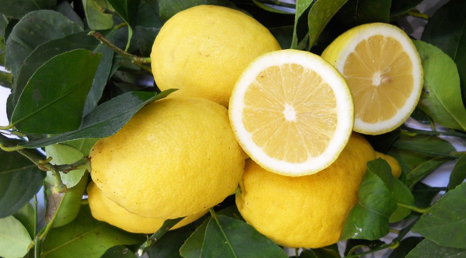 Сорренто Италия лимоны
