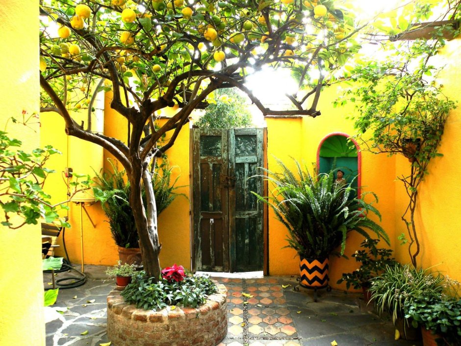 Сицилия дом с лимонами