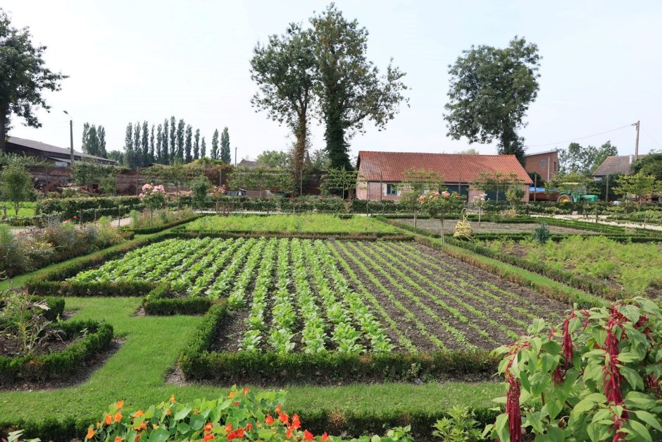 Сад и огород в деревне