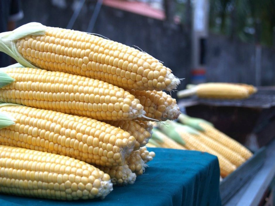 Цветная кукуруза