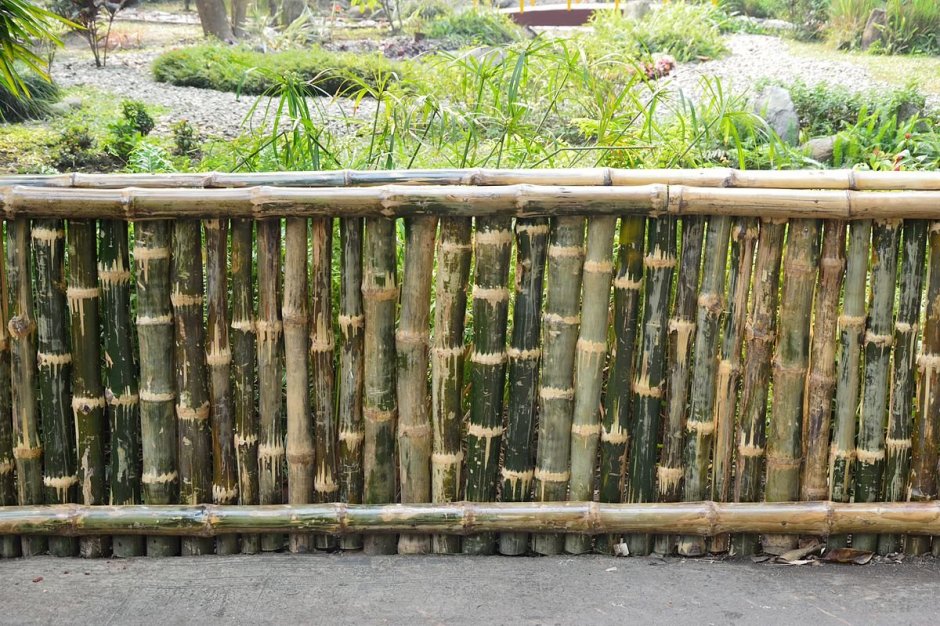 Плетень из бамбука